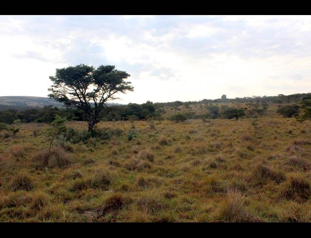 367HA FARM FOR SALE IN KOMGA